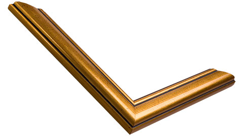 26mm Wide, Gold Wood Distressed Frame (MLDA210)