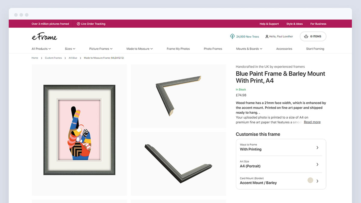 Online framing website - eFrame
