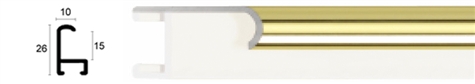 10mm Wide, Gold Aluminium Shiny Frame (MLDAA038)