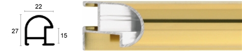 22mm Wide, Gold Aluminium Shiny Frame (MLDAA082)