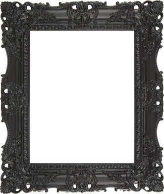 Decorative Picture Frame Clarity+ Perspex, 20 x 30