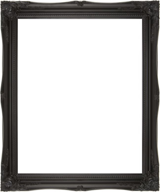 Decorative Picture Frame Clarity+ Perspex (816167450)