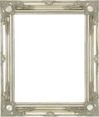 Decorative Picture Frame Clarity+ Perspex (829348970)